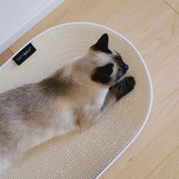 SCRATCHBED | Premium Oval Cat Scratcher & Lounger