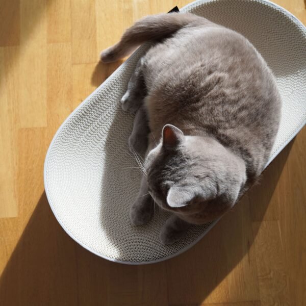 SCRATCHBED | Premium Oval Cat Scratcher & Lounger