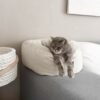 Luxury Cat Bed – Soft Cord Cozy Nest (Oval Design)