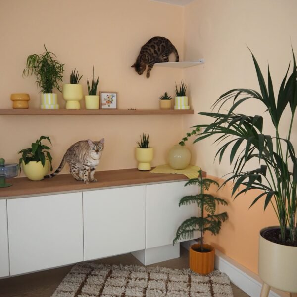 Corner Wall Cat Shelf – Cozy Elevated Lounger