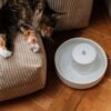 Premium Ceramic Cat Water Fountain – Fresh Flow Drinking System