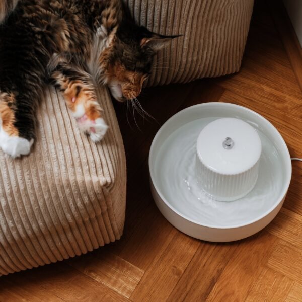 Premium Ceramic Cat Water Fountain – Fresh Flow Drinking System