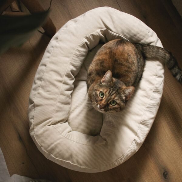Luxury Cat Bed – Soft Cord Cozy Nest (Oval Design)