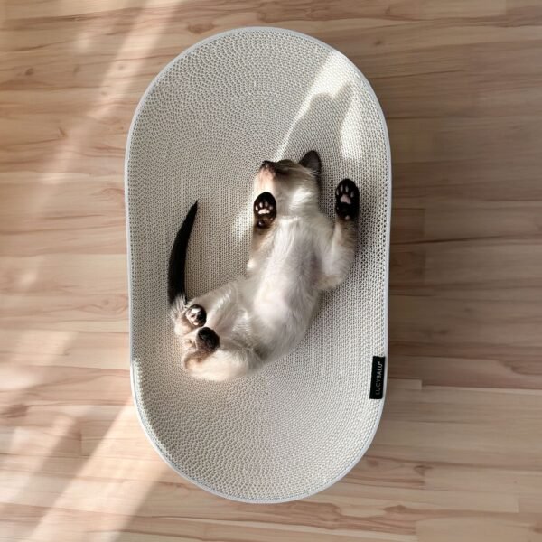 SCRATCHBED | Premium Oval Cat Scratcher & Lounger