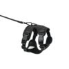 katzengeschirr-set-leine-schwarz Escape-Proof Cat Harness & Leash Set with AirTag Pocket