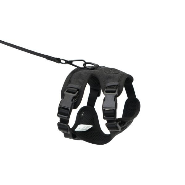 katzengeschirr-set-leine-schwarz Escape-Proof Cat Harness & Leash Set with AirTag Pocket