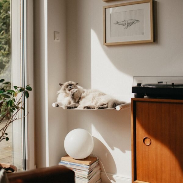 katzenhaengematte-wand SWING | Wall-Mounted Cat Hammock – Cozy Floating Bed (Heavy Duty - Up to 15kg)