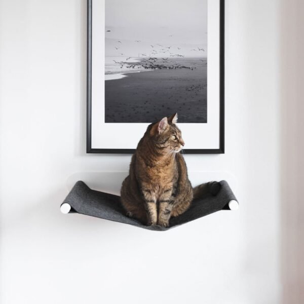 katzenhaengematte-weiss-anthrazit-1 SWING | Wall-Mounted Cat Hammock – Cozy Floating Bed (Heavy Duty - Up to 15kg)