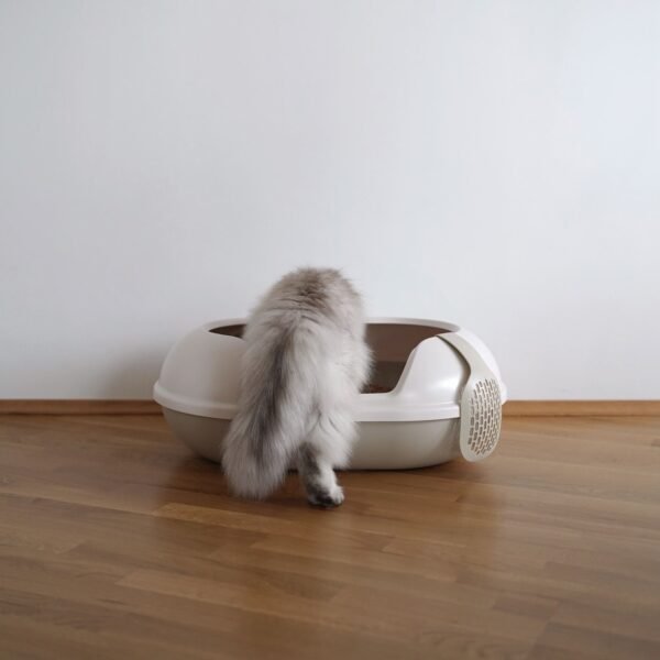 Spacious Cat Litter Box – High-Sided Open Tray with Scoop