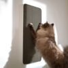 SCRATCHPAD | Designer Wall-Mounted Cat Scratcher (Replaceable Sisal)