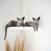 Corner Wall Cat Shelf – Cozy Elevated Lounger