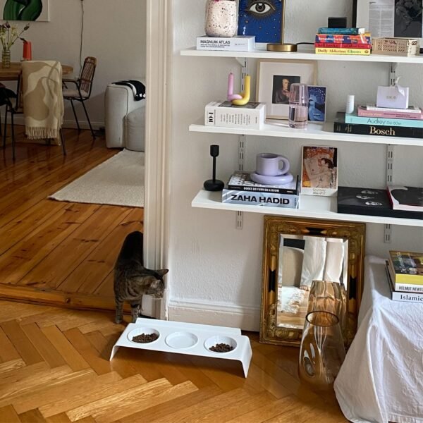 Elevated Cat Feeding Station – Bowl Set (Ergonomic Design)