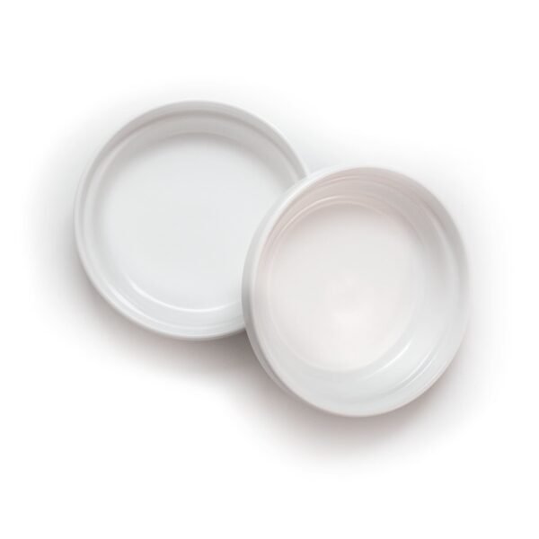 Porcelain Cat Bowls – Whisker-Friendly Feeding Set (2 Pack)