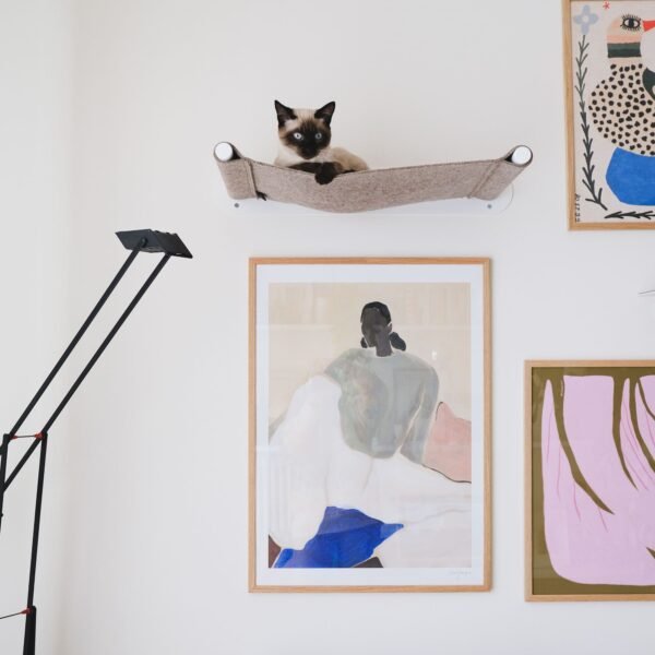 katzenwand-filz-haengematte SWING | Wall-Mounted Cat Hammock – Cozy Floating Bed (Heavy Duty - Up to 15kg)
