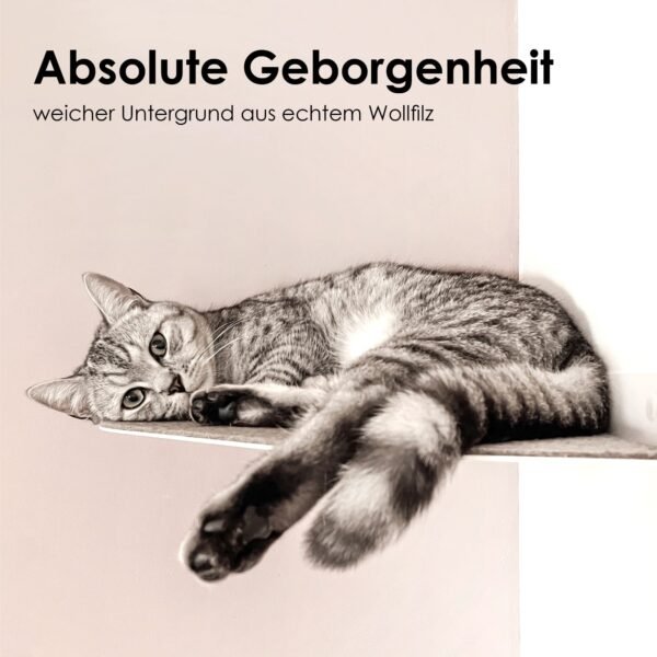 Corner Wall Cat Shelf – Cozy Elevated Lounger