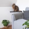 Corner Wall Cat Shelf – Cozy Elevated Lounger