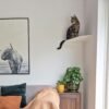 Corner Wall Cat Shelf – Cozy Elevated Lounger
