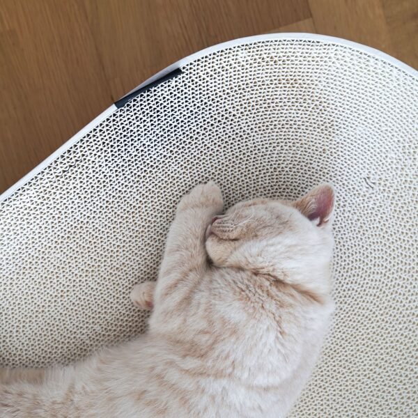 SCRATCHBED | Premium Oval Cat Scratcher & Lounger