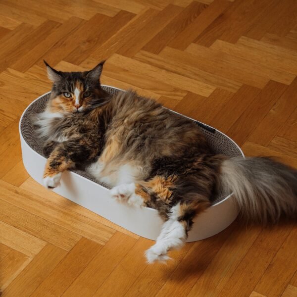 SCRATCHBED | Premium Oval Cat Scratcher & Lounger