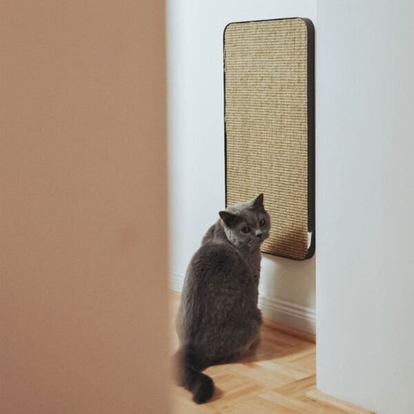SCRATCHPAD | Designer Wall-Mounted Cat Scratcher (Replaceable Sisal)