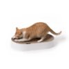 SCRATCHBED | Premium Oval Cat Scratcher & Lounger