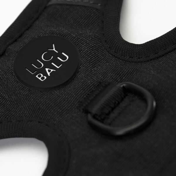 lucybalu-katzengeschirr-schwarz Escape-Proof Cat Harness & Leash Set with AirTag Pocket