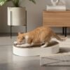 SCRATCHBED | Premium Oval Cat Scratcher & Lounger