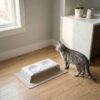 lucybalu-square-futtermatte-silikon-taupe-1 Silicone Cat Feeding Mat – Spill-Proof Bowl Base