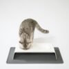 napfunterlage-katze-futterstation Silicone Cat Feeding Mat – Spill-Proof Bowl Base