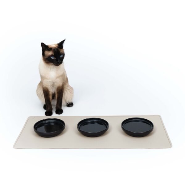 Porcelain Cat Bowls – Whisker-Friendly Feeding Set (2 Pack)