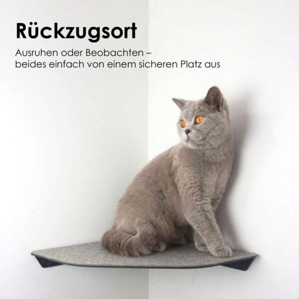 Corner Wall Cat Shelf – Cozy Elevated Lounger