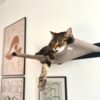 schoene-katzenhaengematte-wand SWING | Wall-Mounted Cat Hammock – Cozy Floating Bed (Heavy Duty - Up to 15kg)