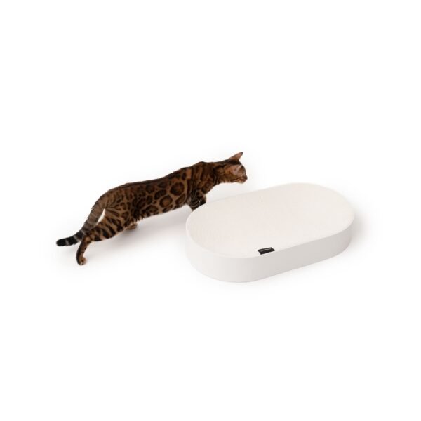SCRATCHBED | Premium Oval Cat Scratcher & Lounger
