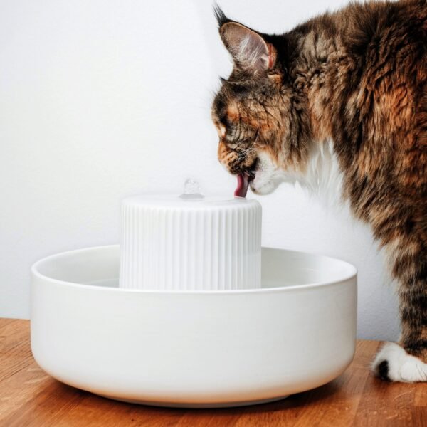 Premium Ceramic Cat Water Fountain – Fresh Flow Drinking System