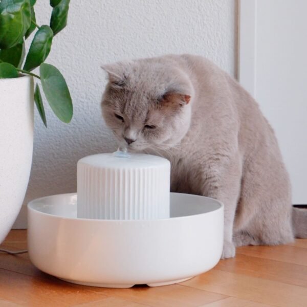 Premium Ceramic Cat Water Fountain – Fresh Flow Drinking System