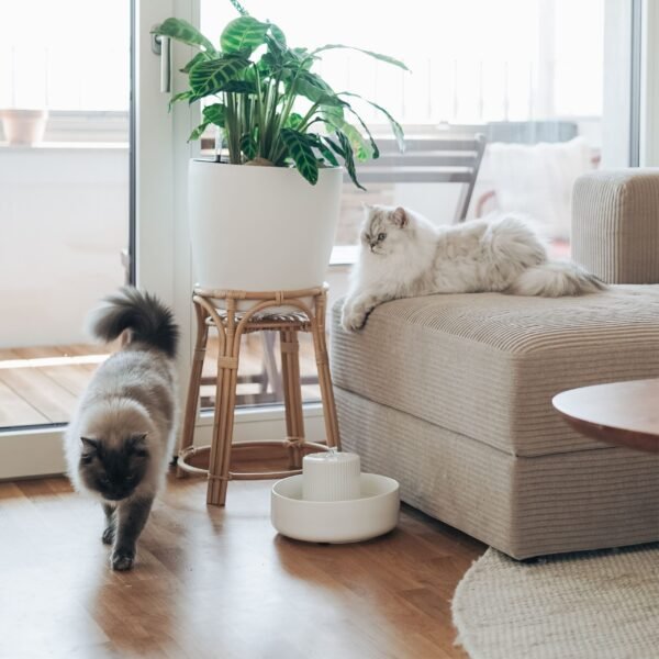 Premium Ceramic Cat Water Fountain – Fresh Flow Drinking System